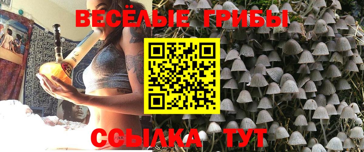Галлюциногенные грибы MAGIC MUSHROOMS  Псилоцибиновые грибы GOLDEN TEACHER  Вход с VPN  Приморско-Ахтарск 