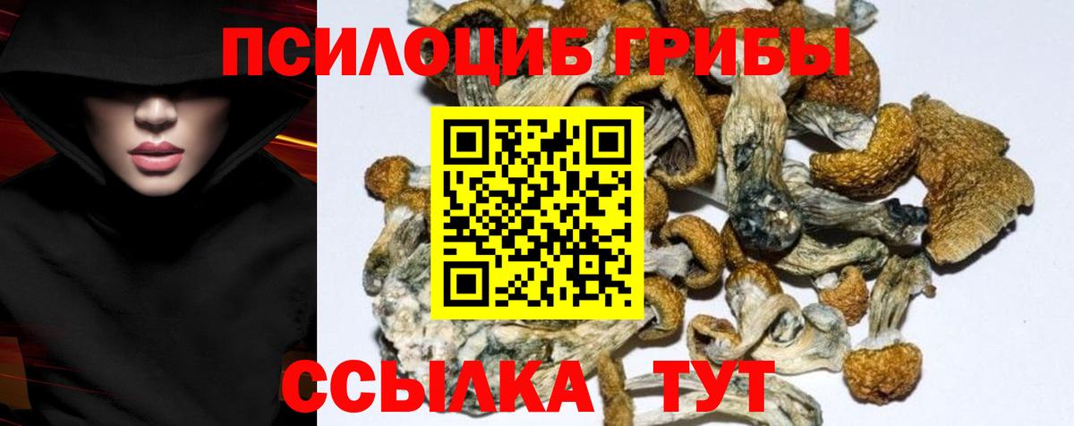 Галлюциногенные грибы ЛСД Приморско-Ахтарск